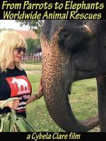 Watch From Parrots to Elephants: Worldwide Animal Rescues Movie4k