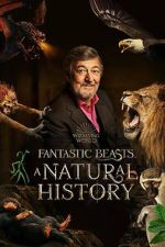 Watch Fantastic Beasts: A Natural History Movie4k
