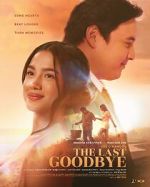 Watch The Last Goodbye Movie4k