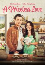 Watch A Priceless Love Movie4k