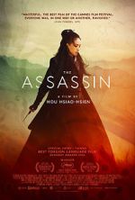 Watch The Assassin Movie4k