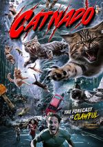Watch Catnado Movie4k