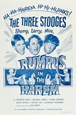 Watch Rumpus in the Harem Movie4k