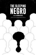 Watch The Sleeping Negro Movie4k