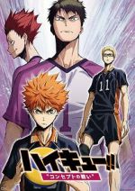 Watch Haiky�!! Concept no Tatakai Movie4k