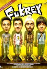 Watch Fukrey Movie4k