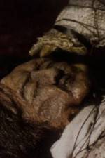 Watch The Separation Movie4k