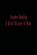 Watch Stephen Hawking A Brief History of Mine Movie4k