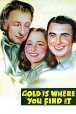 Watch Gold Is Where You Find It Movie4k