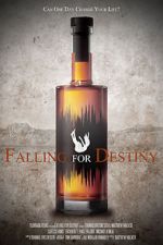 Watch Falling for Destiny Movie4k