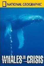 Watch National Geographic: Whales in Crisis Movie4k
