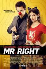 Watch Mr. Right Movie4k