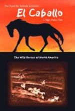 Watch El Caballo: The Wild Horses of North America Movie4k