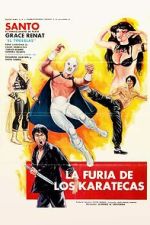 Watch The Fury of the Karate Experts Movie4k