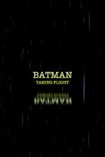 Watch Batman: Taking Flight Movie4k