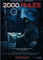 Watch 2000 Mules Movie4k
