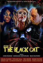 Watch POE 4: The Black Cat Movie4k