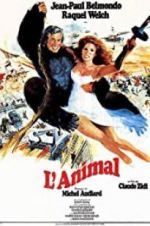 Watch Animal Movie4k