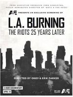 Watch L.A. Burning: The Riots 25 Years Later Movie4k