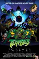 Watch Teenage Mutant Ninja Turtles Turtles Forever Movie4k
