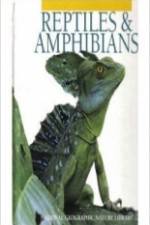 Watch Reptiles and Amphibians Movie4k