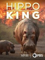 Watch Hippo King Movie4k