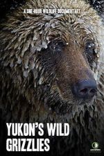 Watch Yukon\'s Wild Grizzlies Movie4k
