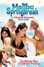 Watch Malibu Spring Break Movie4k