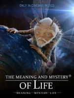 Watch The Meaning and Mystery of Life Movie4k