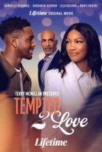 Watch Terry McMillan Presents: Tempted 2 Love Movie4k