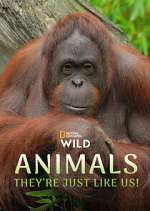 Watch Animals, They\'re Just Like Us! Movie4k