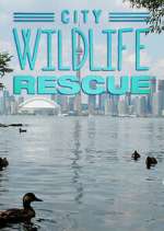Watch City Wildlife Rescue Movie4k