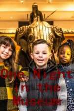 Watch One Night in the Museum Movie4k