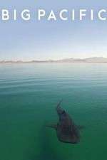 Watch Big Pacific Movie4k