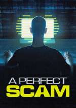 Watch A Perfect Scam Movie4k