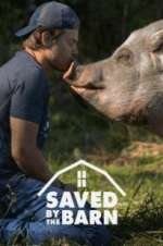 Watch Saved by the Barn Movie4k