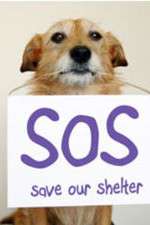 Watch Save Our Shelter Movie4k