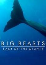 Watch Big Beasts: Last of the Giants Movie4k