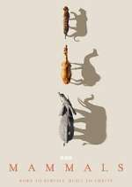 Watch Mammals Movie4k