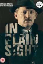 Watch In Plain Sight Movie4k