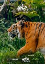 Watch Wild Heroes Movie4k