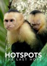 Watch Hotspots: The Last Hope Movie4k