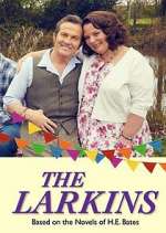 Watch The Larkins Movie4k