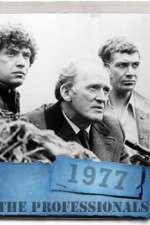 Watch The Professionals Movie4k