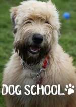 Watch Dog School Movie4k