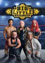 Watch Big Little Brawlers Movie4k