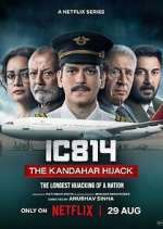 Watch IC 814: The Kandahar Hijack Movie4k