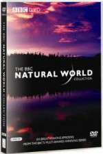Watch The Natural World Movie4k
