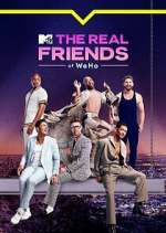 Watch The Real Friends of WeHo Movie4k