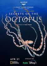 Watch Secrets of the Octopus Movie4k